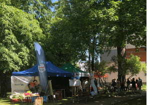 Spotkanie podczas pikniku rodzinnego