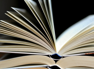 Nowości wydawnicze w bibliotece.