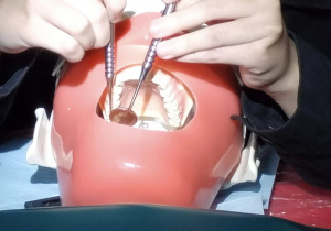 Światowy Dzień Zdrowia. Wydarzenia.