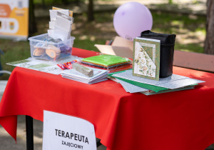 Piknik rodzinny przy Medyku